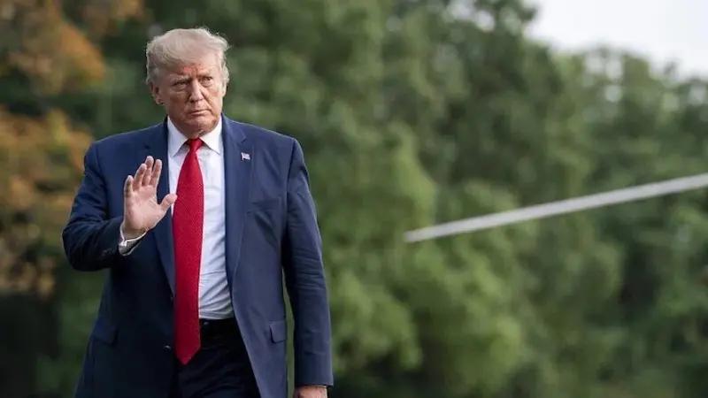 Qual é o impacto de Trump nos investimentos? Brava Advisors